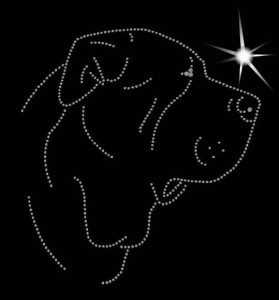  Dogo Canario DIAMOND APPLICATION