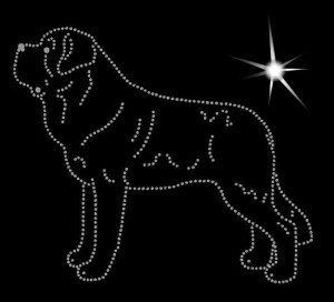 SAINT BERNARD DIAMOND APLICATION