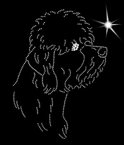 DANDIE DINMONT TERRIER DIAMOND APLICATION