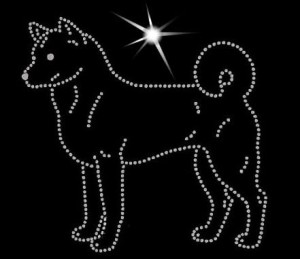  Korea Jindo  DIAMOND APPLICATION