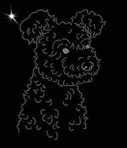 PUMI DIAMOND APLICATION