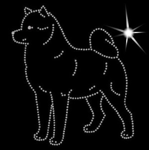 SHIBA DIAMOND APPLICATION