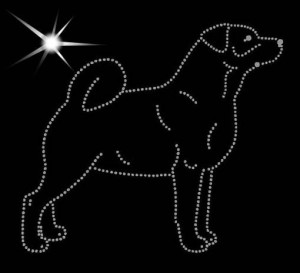 APPENZELL CATTLE DOG DIAMOND APPLICATION