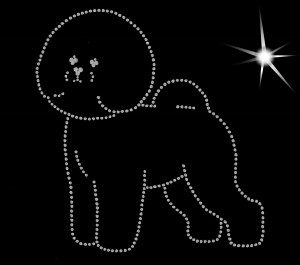 Bichon Frise diamond aplication