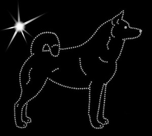KARELIAN BEAR DOG DIAMOND APPLICATION