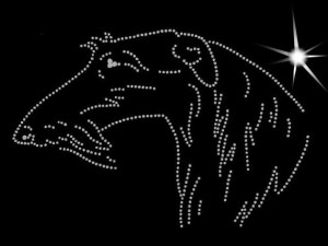 DEERHOUND DIAMOND APLICATION