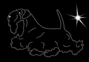 SEALYHAM TERRIER - APLIKACJA DIAMENTOWA