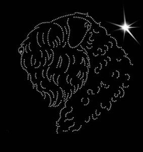 BOUVIER DES FLANDRES diamond APLICATION