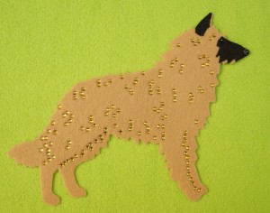 Belgian Shepherd Laekenois felt aplication