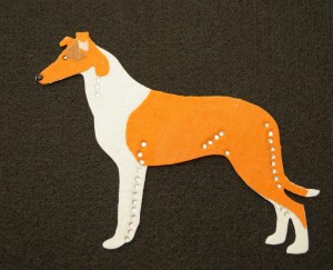  Collie Smooth felt aplication