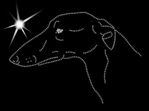  Hungarian Greyhound DIAMOND APLCATION