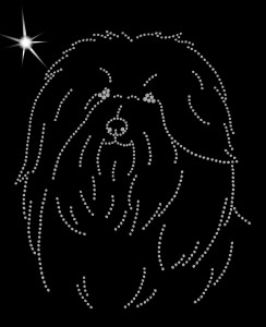 Bichon Havanais diamond aplication 