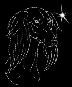 SALUKI DIAMOND APLICATION