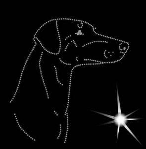  German Pinscher DIAMOND APPLICATION