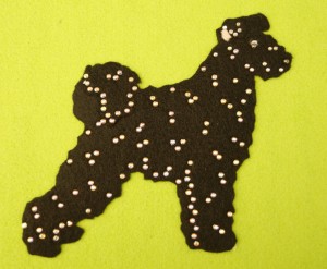  Pumi felt aplication