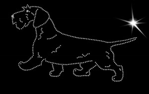 Dachshund  Wire- haired diamond aplication 
