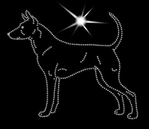 THAI RIDGEBACK DIAMOND APPLICATION