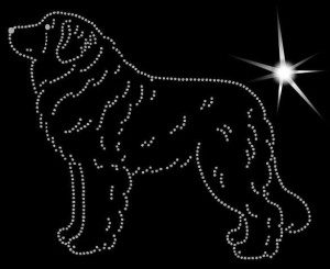LEONBERGER DIAMOND APLICATION