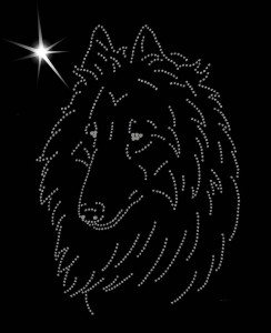 BELGIAN SHEPHERD TERVUEREN DIAMOND APLICATION