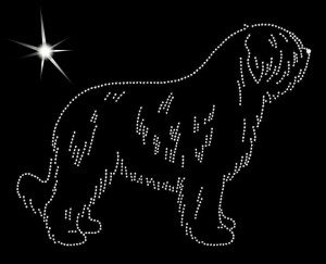 Romanian Mioritic Shepherd  DIAMOND APLICATION