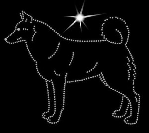  Norwegian Elkhound Black DIAMOND APPLICATION