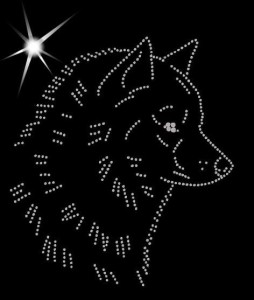 Finnish Spitz DIAMOND APPLICATION