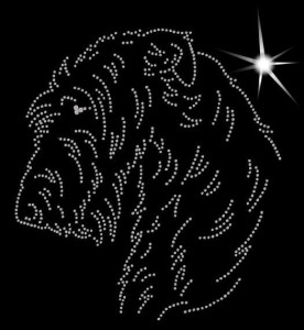 WILCZARZ IRLANDZKI - APLIKACJA  DIAMENTOWA