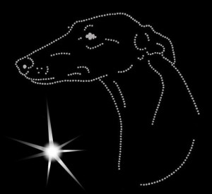 GREYHOUND DIAMOND APLICATION