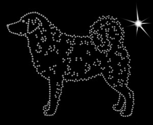  Frisian Water Dog DIAMOND APLICATION