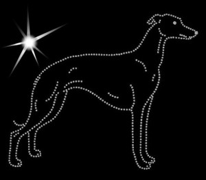 WHIPPET - APLIKACJA DIAMENTOWA