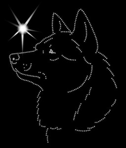  Kai DIAMOND APPLICATION