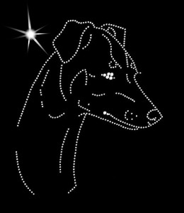 Japanese Terrier DIAMOND APLICATION