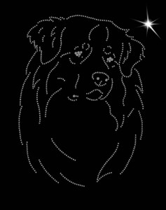 AUSTRALIAN SHEPHERD  DIAMOND APPLICATION