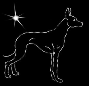 PERUVIAN HAIRLESS DOG DIAMOND APPLICATION