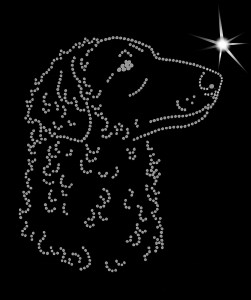 CURLY COATED RETRIEVER DIAMOND APLICATION