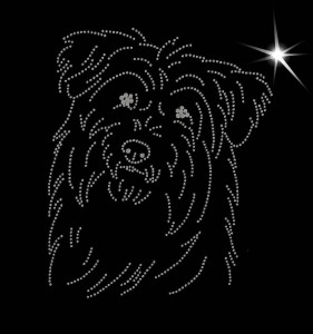 PYRENEAN SHEEPDOG LONG-HAIRED diamond APLICATION