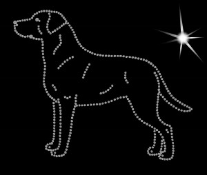 CHESAPEAKE BAY RETRIEVER DIAMOND APLICATION