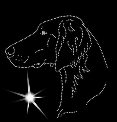 VII Weimaraner. Longhaired. Leb.  175x175.jpg