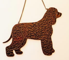 IRLANDZKI SPANIEL DOWODNY.JPG