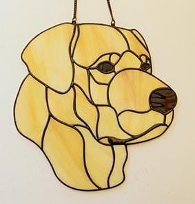 LABRADOR RETRIEVER GŁOWA.JPG