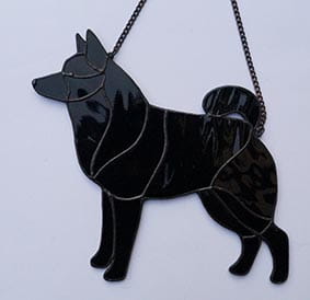 SCHIPPERKE  Z OGONEM.JPG