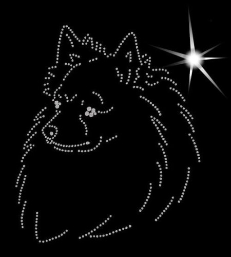 V German. Spitz. Klein. Leb. 187x145.jpg