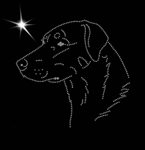 I Beau. Leb. 155x150.jpg