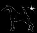 III Fox terrier smooth .jpg