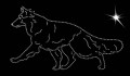 I Ger. Shep. 205x115.jpg