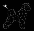I Pumi. 160x150.jpg