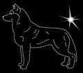 V Siber. Husky. Leb. 155x140.jpg