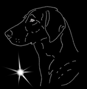 Hamilton Hound DIAMOND APLIICATION