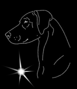 RHODESIAN RIDGEBACK DIAMOND APLIICATION