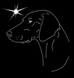 Schiller Hound DIAMOND APLIICATION